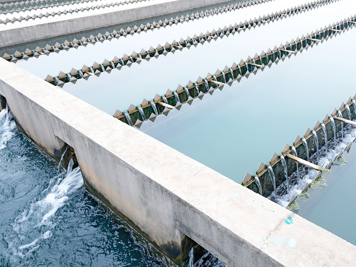 Dissolved Air Flotation (DAF)